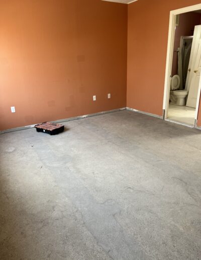 An empty room with beige carpet and orange walls